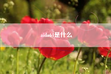 aida64是什么