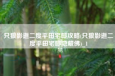 只狼影逝二度平田宅邸攻略(只狼影逝二度平田宅邸隐藏佛)_1