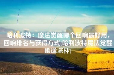 哈利波特：魔法觉醒哪个回响最好用，回响排名与获得方式(哈利波特魔法觉醒幽谧深林)