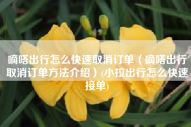 嘀嗒出行怎么快速取消订单（嘀嗒出行取消订单方法介绍）(小拉出行怎么快速接单)