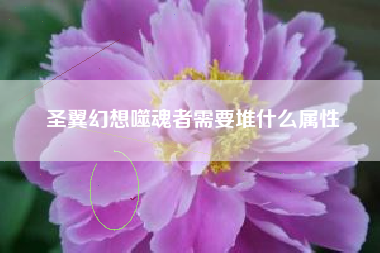 圣翼幻想噬魂者需要堆什么属性