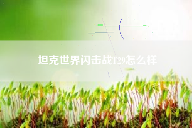 坦克世界闪击战T29怎么样 坦克世界闪击战T29怎么样