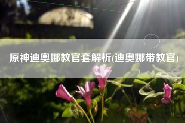 原神迪奥娜教官套解析(迪奥娜带教官)