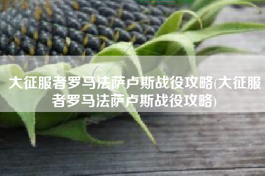 大征服者罗马法萨卢斯战役攻略(大征服者罗马法萨卢斯战役攻略)