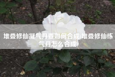 堆叠修仙凝气丹要如何合成(堆叠修仙练气丹怎么合成)