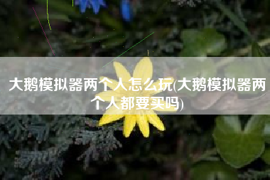 大鹅模拟器两个人怎么玩(大鹅模拟器两个人都要买吗)