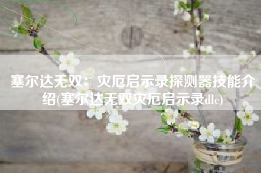 塞尔达无双：灾厄启示录探测器技能介绍(塞尔达无双灾厄启示录dlc)