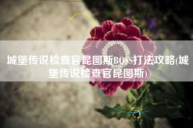 城堡传说检查官昆图斯BOSS打法攻略(城堡传说检查官昆图斯)