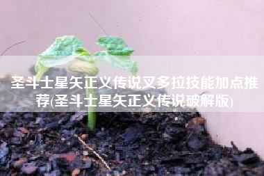 圣斗士星矢正义传说叉多拉技能加点推荐(圣斗士星矢正义传说破解版)