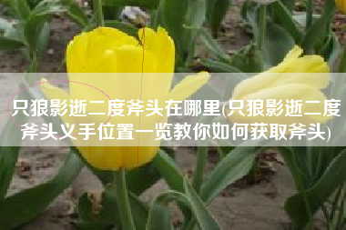 只狼影逝二度斧头在哪里(只狼影逝二度斧头义手位置一览教你如何获取斧头)