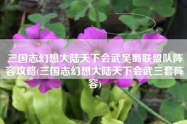 三国志幻想大陆天下会武吴蜀联盟队阵容攻略(三国志幻想大陆天下会武三套阵容)