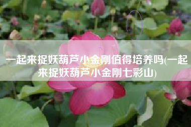 一起来捉妖葫芦小金刚值得培养吗(一起来捉妖葫芦小金刚七彩山)