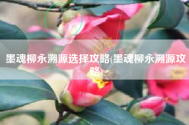 墨魂柳永溯源选择攻略(墨魂柳永溯源攻略)