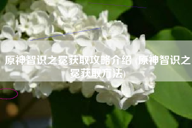 原神智识之冕获取攻略介绍 (原神智识之冕获取方法)