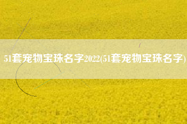 51套宠物宝珠名字2022(51套宠物宝珠名字)