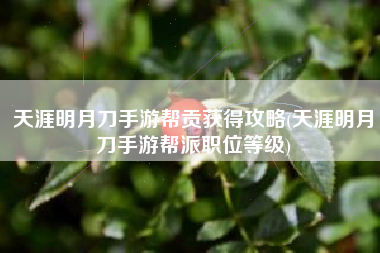 天涯明月刀手游帮贡获得攻略(天涯明月刀手游帮派职位等级)