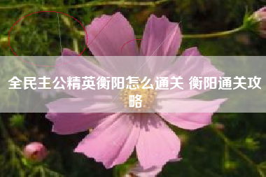 全民主公精英衡阳怎么通关 衡阳通关攻略 全民主公精英衡阳怎么通关 衡阳通关攻略