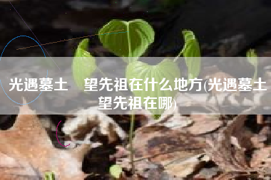 光遇墓土瞭望先祖在什么地方(光遇墓土瞭望先祖在哪)