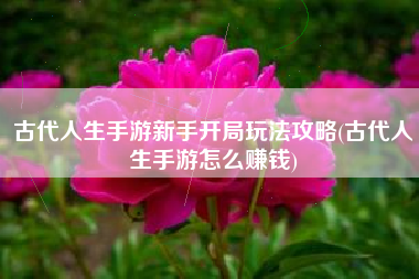 古代人生手游新手开局玩法攻略(古代人生手游怎么赚钱)