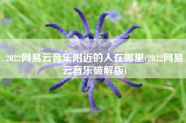 2022网易云音乐附近的人在哪里(2022网易云音乐破解版)