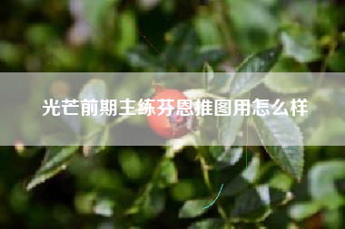 光芒前期主练芬恩推图用怎么样