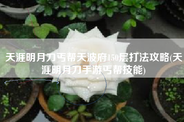 天涯明月刀丐帮天波府150层打法攻略(天涯明月刀手游丐帮技能)