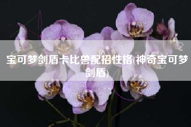 宝可梦剑盾卡比兽配招性格(神奇宝可梦剑盾)