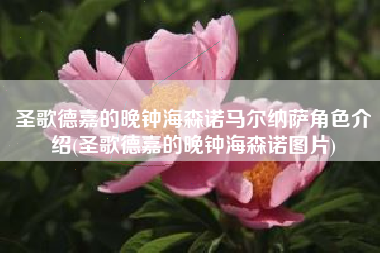 圣歌德嘉的晚钟海森诺马尔纳萨角色介绍(圣歌德嘉的晚钟海森诺图片)