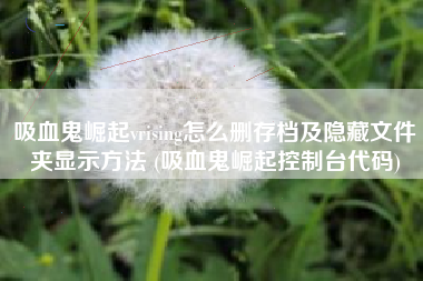 吸血鬼崛起vrising怎么删存档及隐藏文件夹显示方法 (吸血鬼崛起控制台代码)