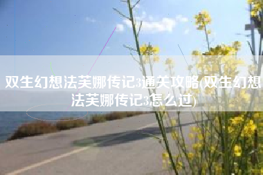 双生幻想法芙娜传记3通关攻略(双生幻想法芙娜传记3怎么过)