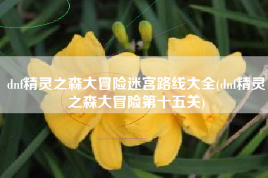 dnf精灵之森大冒险迷宫路线大全(dnf精灵之森大冒险第十五关)