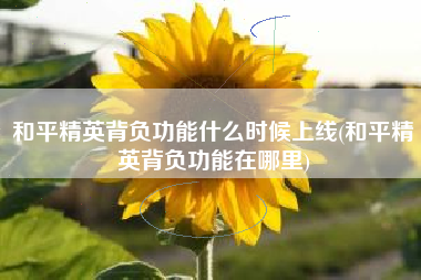 和平精英背负功能什么时候上线(和平精英背负功能在哪里)
