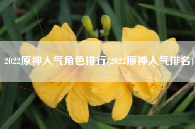 2022原神人气角色排行(2022原神人气排名)