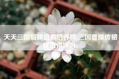 天天三国貂蝉值得培养吗(三国曹操传貂蝉值得练吗)