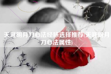 天涯明月刀心法经脉选择推荐(天涯明月刀心法属性)
