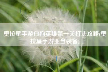 奥拉星手游白狗英雄第一关打法攻略(奥拉星手游亚当装备)