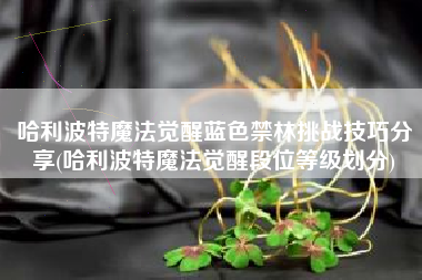 哈利波特魔法觉醒蓝色禁林挑战技巧分享(哈利波特魔法觉醒段位等级划分)