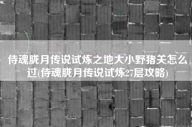 侍魂胧月传说试炼之地大小野猪关怎么过(侍魂胧月传说试炼27层攻略)