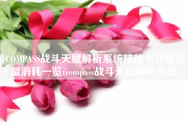 COMPASS战斗天赋解析系统技能卡升级能量消耗一览(compass战斗天赋解析系统)