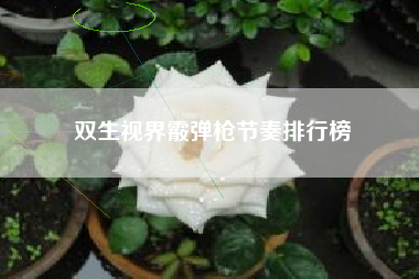 双生视界霰弹枪节奏排行榜