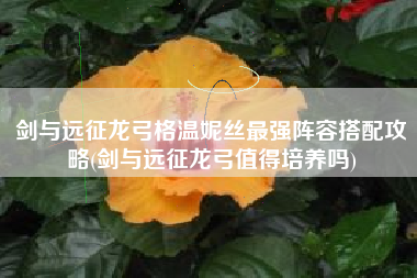 剑与远征龙弓格温妮丝最强阵容搭配攻略(剑与远征龙弓值得培养吗) 剑与远征龙弓格温妮丝最强阵容搭配攻略(剑与远征龙弓值得培养吗)