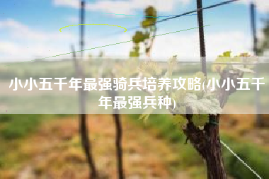 小小五千年最强骑兵培养攻略(小小五千年最强兵种)