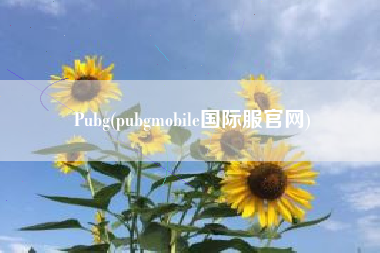Pubg(pubgmobile国际服官网)