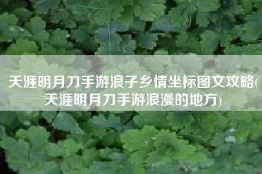 天涯明月刀手游浪子乡情坐标图文攻略(天涯明月刀手游浪漫的地方)
