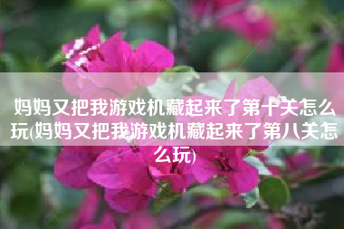 妈妈又把我游戏机藏起来了第十关怎么玩(妈妈又把我游戏机藏起来了第八关怎么玩)