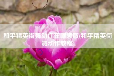 和平精英街舞动作在哪领取(和平精英街舞动作教程)