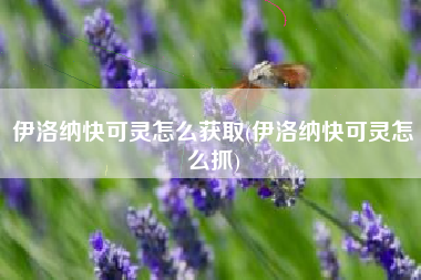 伊洛纳快可灵怎么获取(伊洛纳快可灵怎么抓)