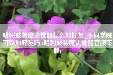 哈利波特魔法觉醒怎么加好友_不同学院可以加好友吗 (哈利波特魔法觉醒官服下载)