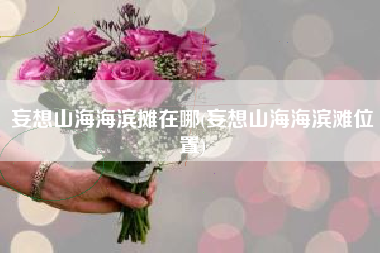 妄想山海海滨摊在哪(妄想山海海滨滩位置)