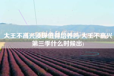 大王不高兴凌琛值得培养吗(大王不高兴第三季什么时候出)